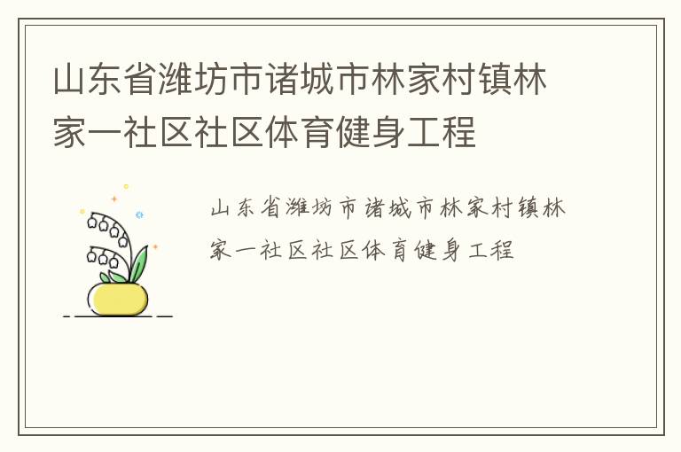 山东省潍坊市诸城市林家村镇林家一社区社区体育健身工程