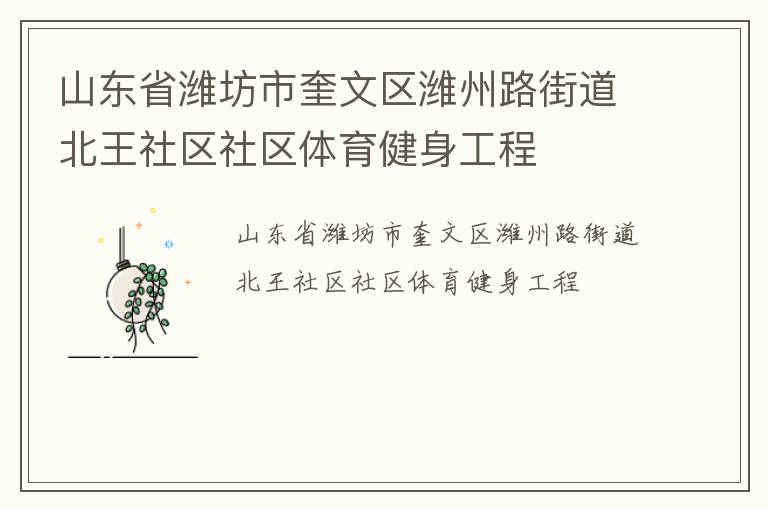 山东省潍坊市奎文区潍州路街道北王社区社区体育健身工程