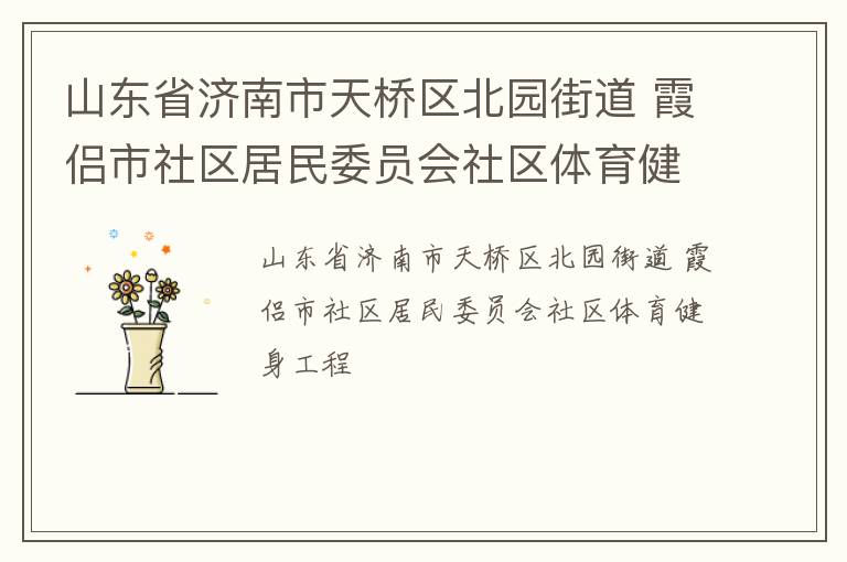山东省济南市天桥区北园街道 霞侣市社区居民委员会社区体育健身工程