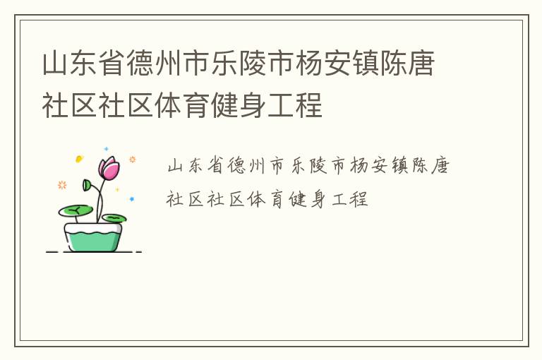 山东省德州市乐陵市杨安镇陈唐社区社区体育健身工程