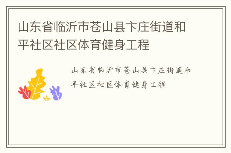 山东省临沂市苍山县卞庄街道和平社区社区体育健身工程