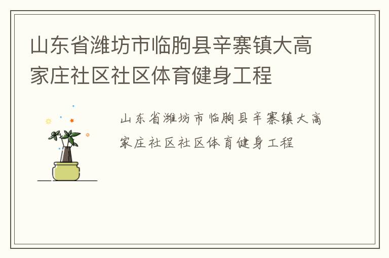 山东省潍坊市临朐县辛寨镇大高家庄社区社区体育健身工程