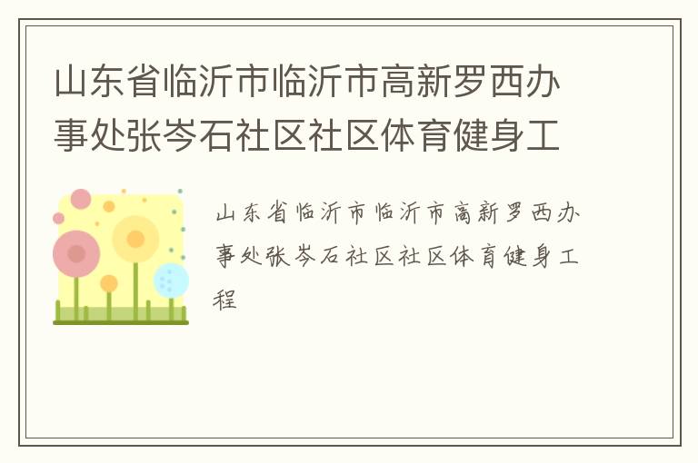 山东省临沂市临沂市高新罗西办事处张岑石社区社区体育健身工程