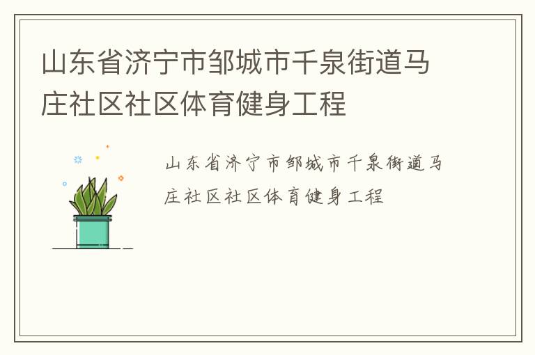 山东省济宁市邹城市千泉街道马庄社区社区体育健身工程