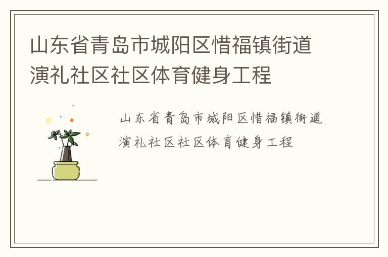山东省青岛市城阳区惜福镇街道演礼社区社区体育健身工程