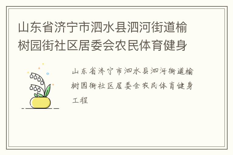 山东省济宁市泗水县泗河街道榆树园街社区居委会农民体育健身工程