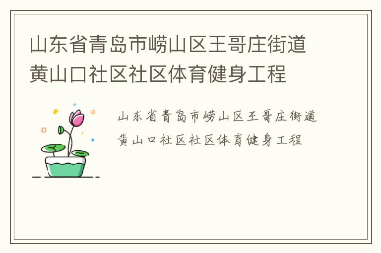 山东省青岛市崂山区王哥庄街道黄山口社区社区体育健身工程