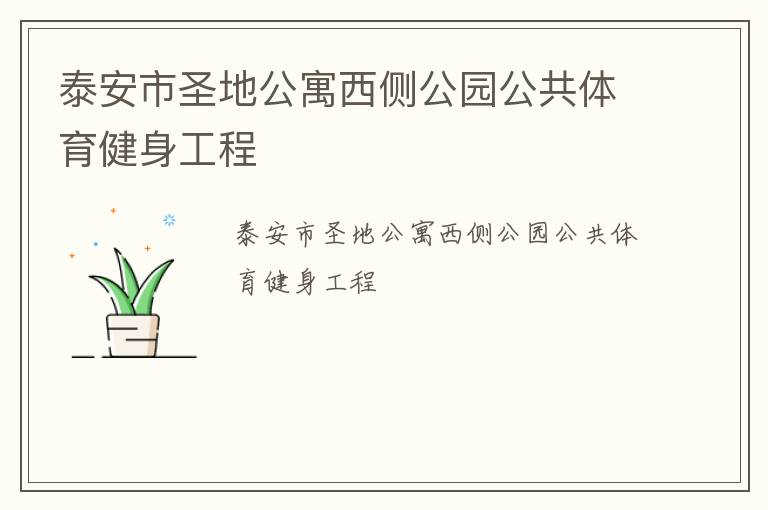 泰安市圣地公寓西侧公园公共体育健身工程
