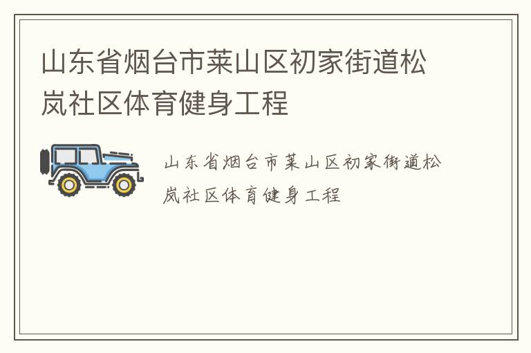山东省烟台市莱山区初家街道松岚社区体育健身工程