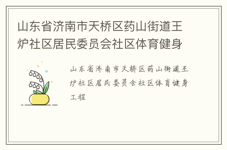 山东省济南市天桥区药山街道王炉社区居民委员会社区体育健身工程