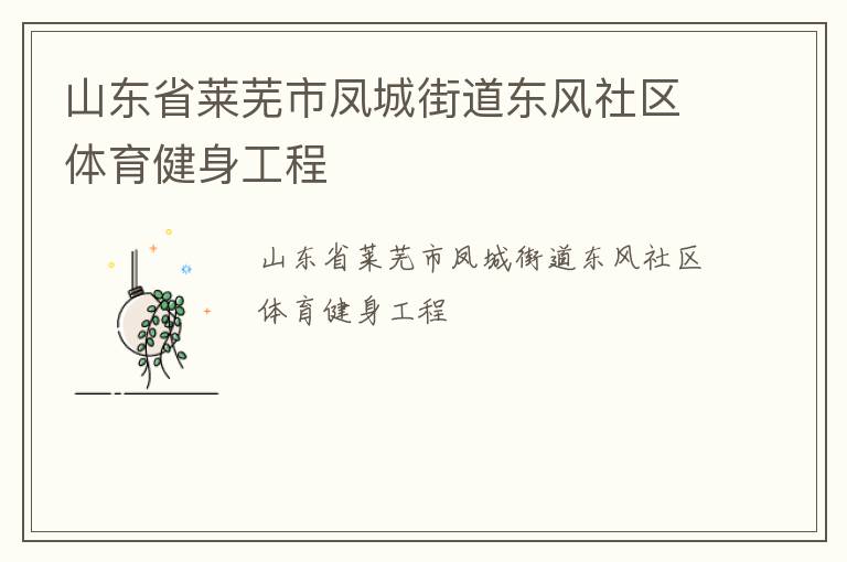 山东省莱芜市凤城街道东风社区体育健身工程