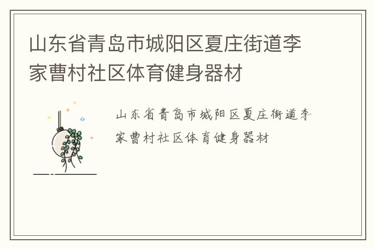 山东省青岛市城阳区夏庄街道李家曹村社区体育健身器材