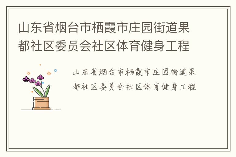 山东省烟台市栖霞市庄园街道果都社区委员会社区体育健身工程