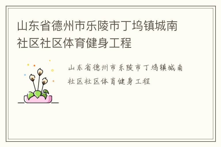 山东省德州市乐陵市丁坞镇城南社区社区体育健身工程
