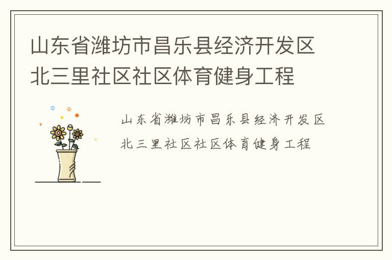山东省潍坊市昌乐县经济开发区北三里社区社区体育健身工程