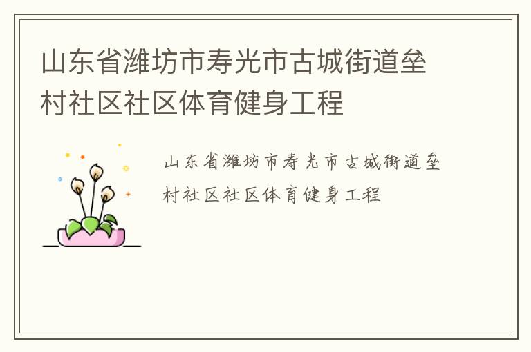 山东省潍坊市寿光市古城街道垒村社区社区体育健身工程