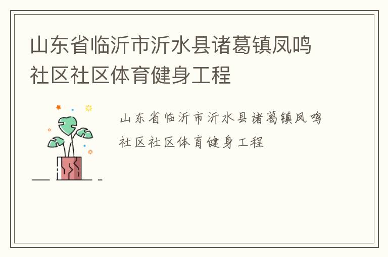 山东省临沂市沂水县诸葛镇凤鸣社区社区体育健身工程