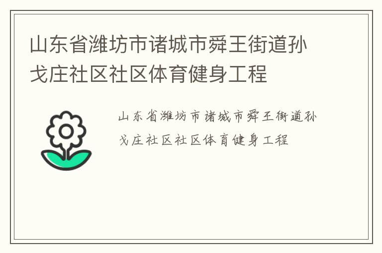 山东省潍坊市诸城市舜王街道孙戈庄社区社区体育健身工程
