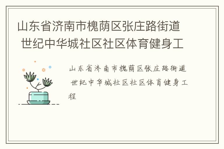 山东省济南市槐荫区张庄路街道 世纪中华城社区社区体育健身工程