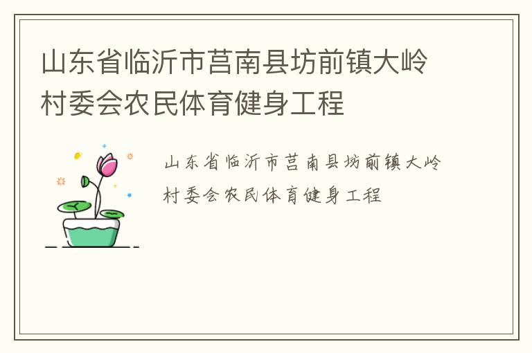 山东省临沂市莒南县坊前镇大岭村委会农民体育健身工程