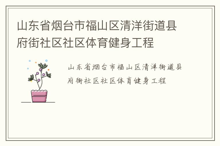 山东省烟台市福山区清洋街道县府街社区社区体育健身工程