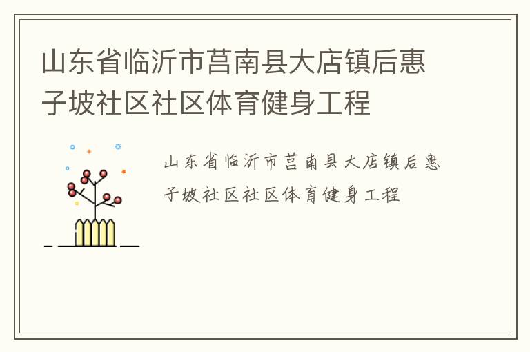 山东省临沂市莒南县大店镇后惠子坡社区社区体育健身工程