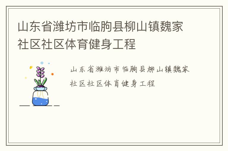 山东省潍坊市临朐县柳山镇魏家社区社区体育健身工程