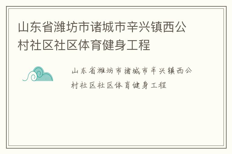 山东省潍坊市诸城市辛兴镇西公村社区社区体育健身工程