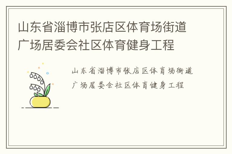 山东省淄博市张店区体育场街道广场居委会社区体育健身工程