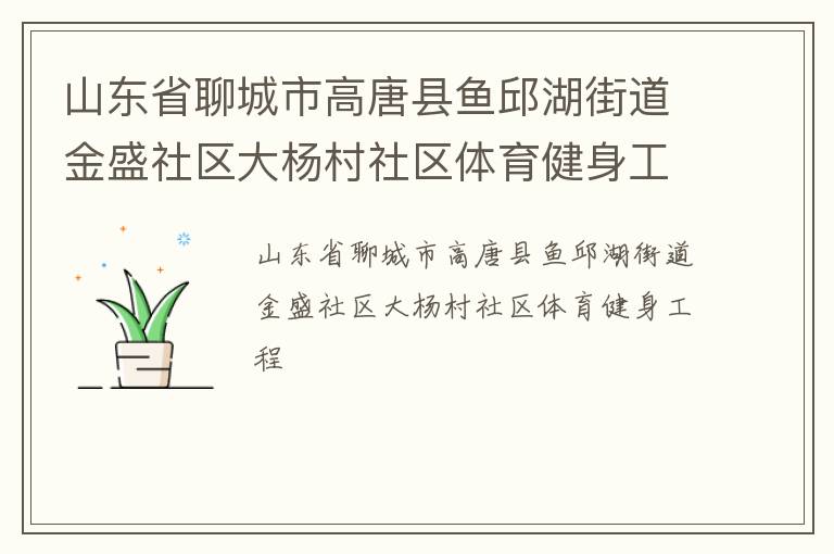 山东省聊城市高唐县鱼邱湖街道金盛社区大杨村社区体育健身工程