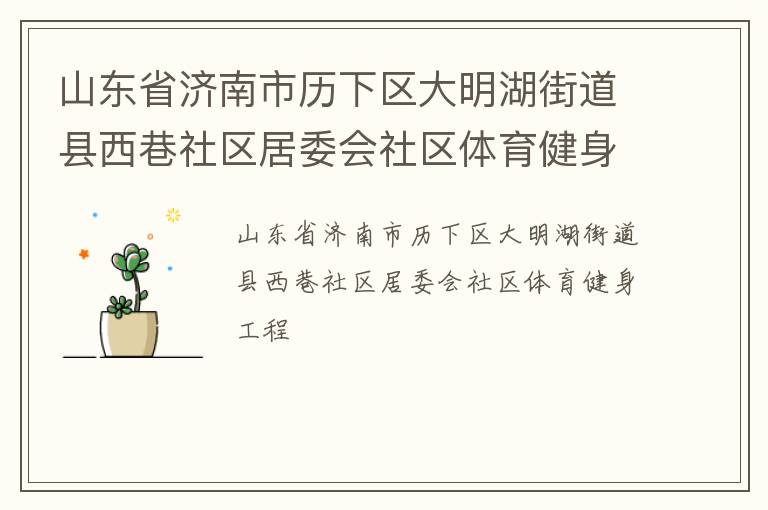 山东省济南市历下区大明湖街道县西巷社区居委会社区体育健身工程