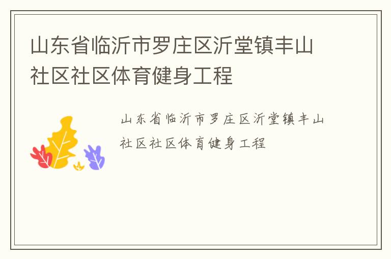 山东省临沂市罗庄区沂堂镇丰山社区社区体育健身工程