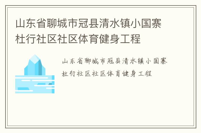 山东省聊城市冠县清水镇小国寨杜行社区社区体育健身工程
