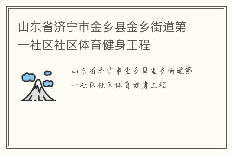 山东省济宁市金乡县金乡街道第一社区社区体育健身工程