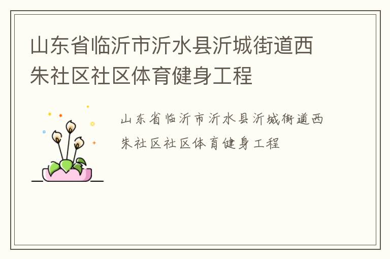 山东省临沂市沂水县沂城街道西朱社区社区体育健身工程