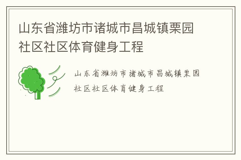 山东省潍坊市诸城市昌城镇栗园社区社区体育健身工程