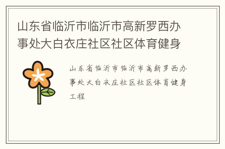 山东省临沂市临沂市高新罗西办事处大白衣庄社区社区体育健身工程