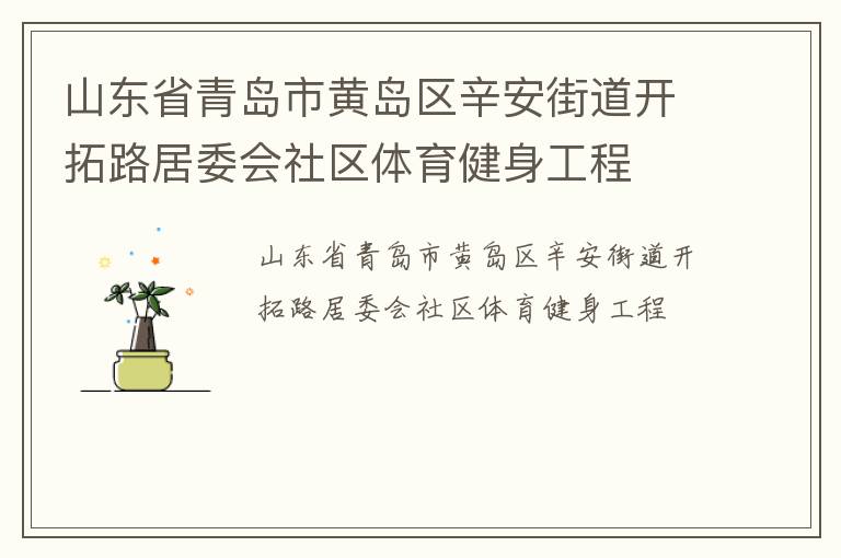 山东省青岛市黄岛区辛安街道开拓路居委会社区体育健身工程