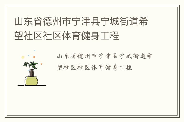 山东省德州市宁津县宁城街道希望社区社区体育健身工程