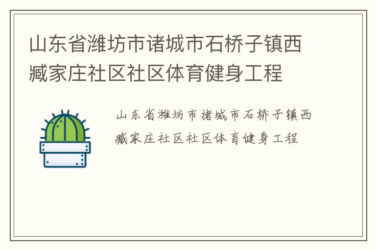 山东省潍坊市诸城市石桥子镇西臧家庄社区社区体育健身工程