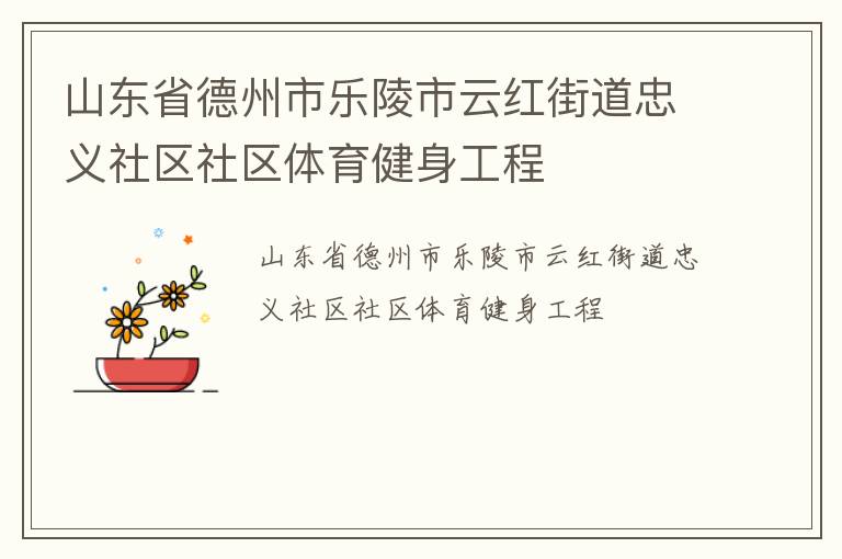 山东省德州市乐陵市云红街道忠义社区社区体育健身工程