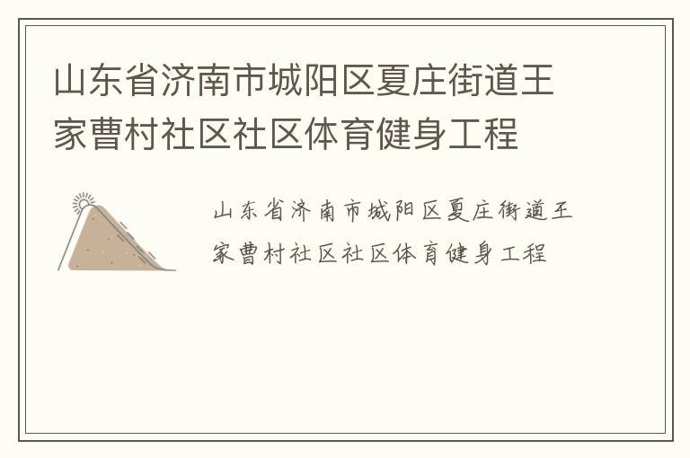 山东省济南市城阳区夏庄街道王家曹村社区社区体育健身工程