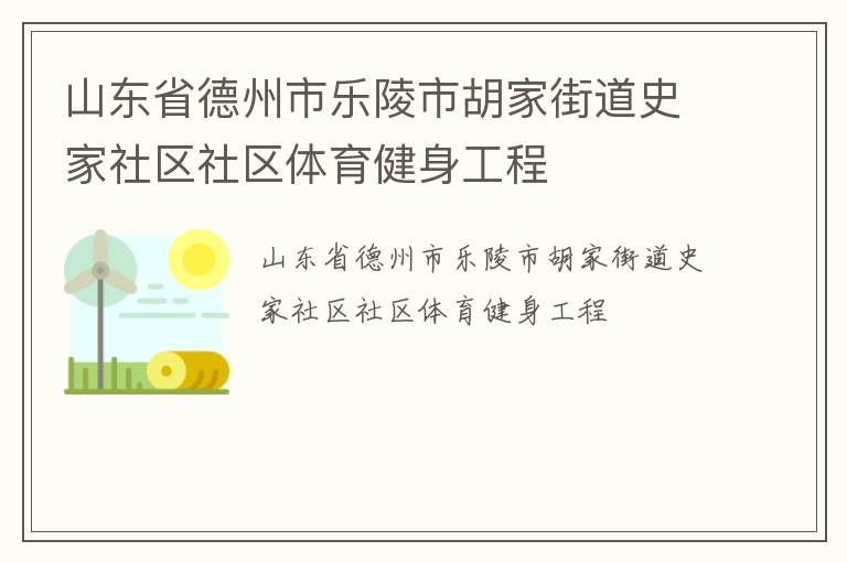 山东省德州市乐陵市胡家街道史家社区社区体育健身工程