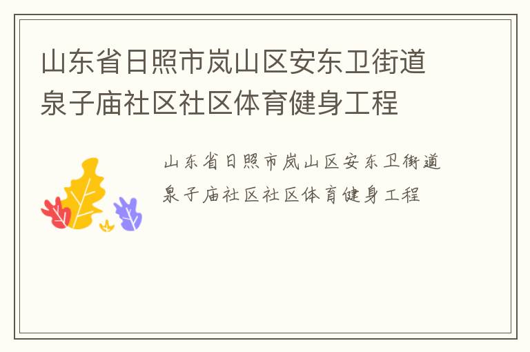 山东省日照市岚山区安东卫街道泉子庙社区社区体育健身工程