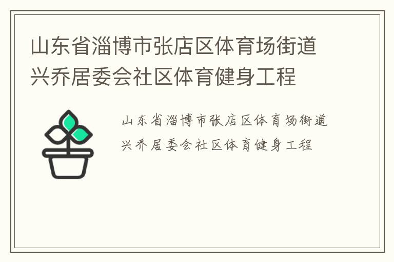 山东省淄博市张店区体育场街道兴乔居委会社区体育健身工程