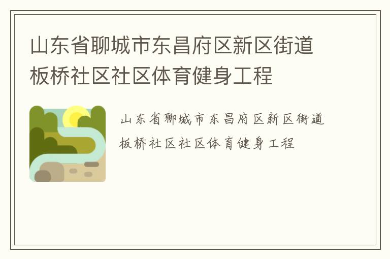 山东省聊城市东昌府区新区街道板桥社区社区体育健身工程