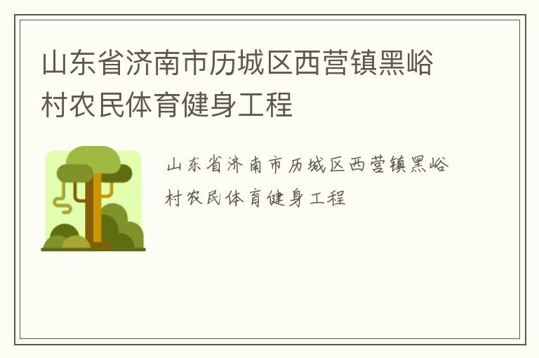 山东省济南市历城区西营镇黑峪村农民体育健身工程