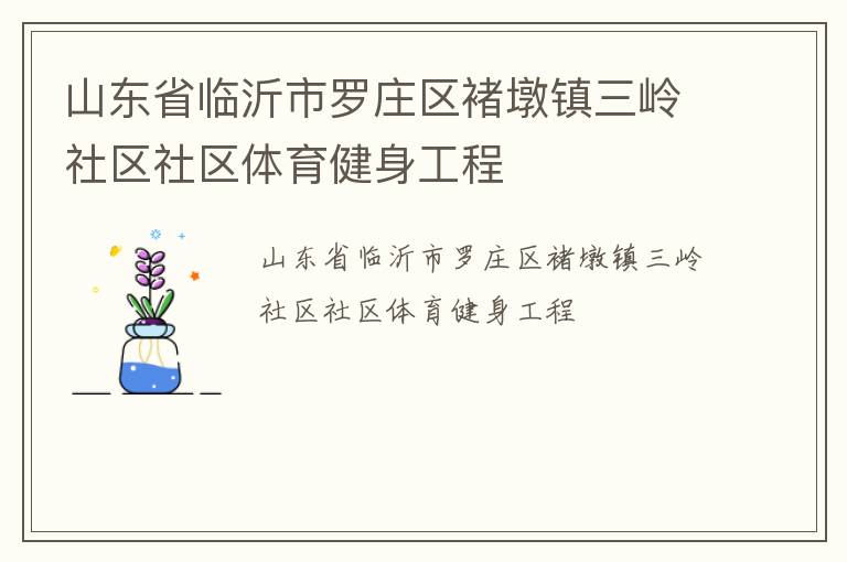 山东省临沂市罗庄区褚墩镇三岭社区社区体育健身工程