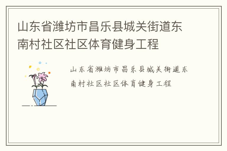 山东省潍坊市昌乐县城关街道东南村社区社区体育健身工程