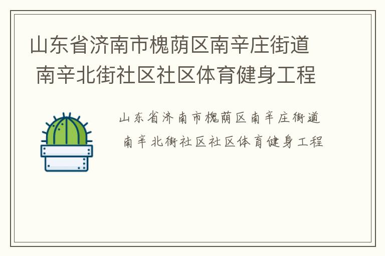 山东省济南市槐荫区南辛庄街道 南辛北街社区社区体育健身工程